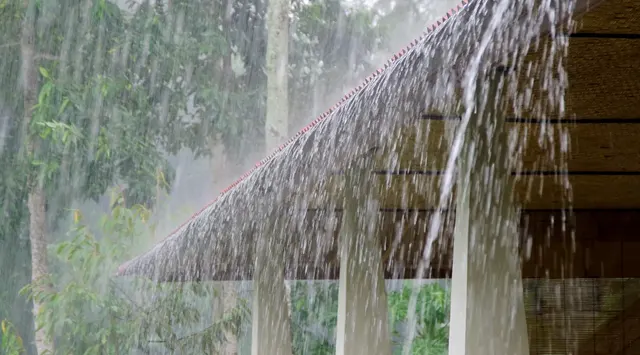 rain