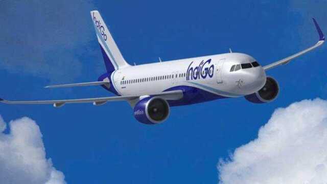 Indigo reuters