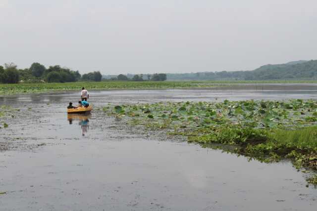 Anshupa Lake Cuttack