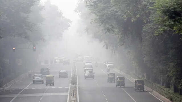 Delhi 1731934480