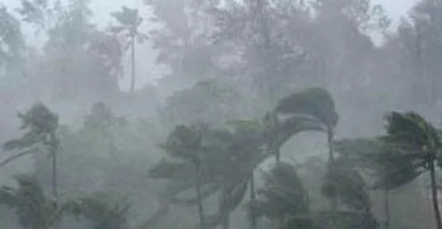 Heavy rain 2
