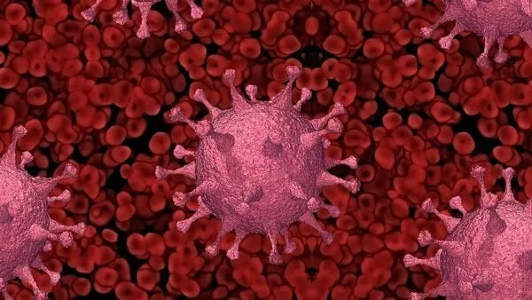 Covid 1748090740552 174809074096