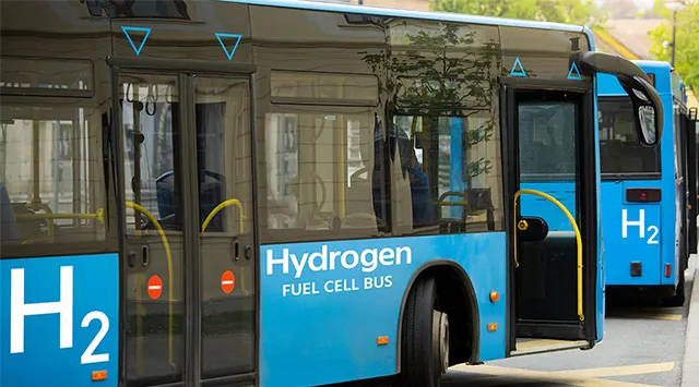 Hybus