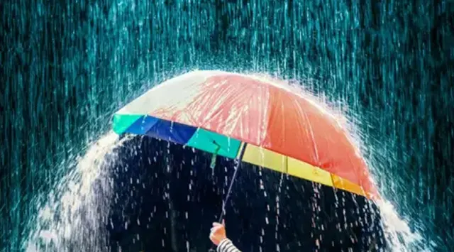 Rain