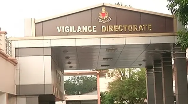 Vig