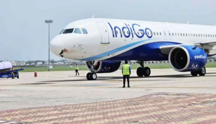 Indigo 1 750x430