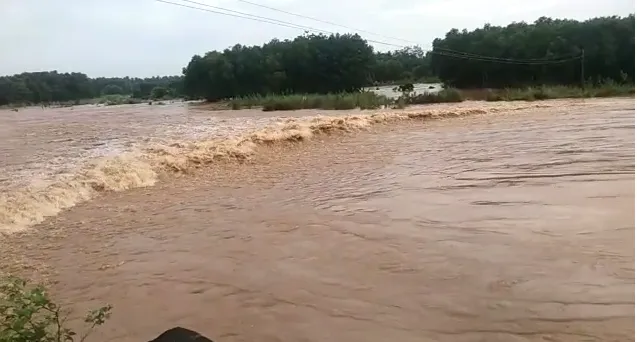 Flood