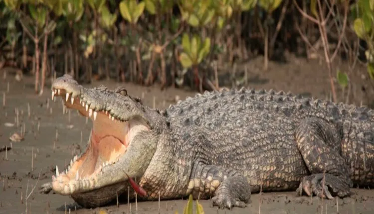 Screenshot 2025 07 18 163420 1