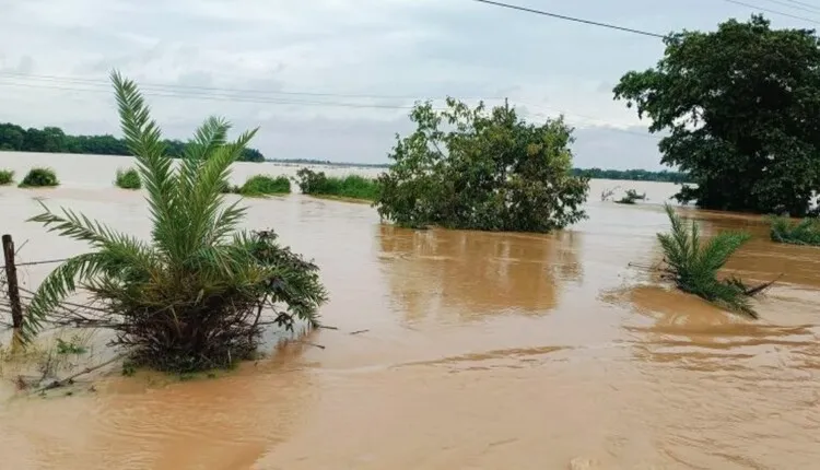 Screenshot 2025 07 27 075535