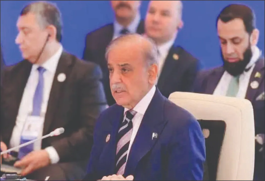 Ypqzmalskdjfhgtu 2025 07 06 07 23 23 (1)