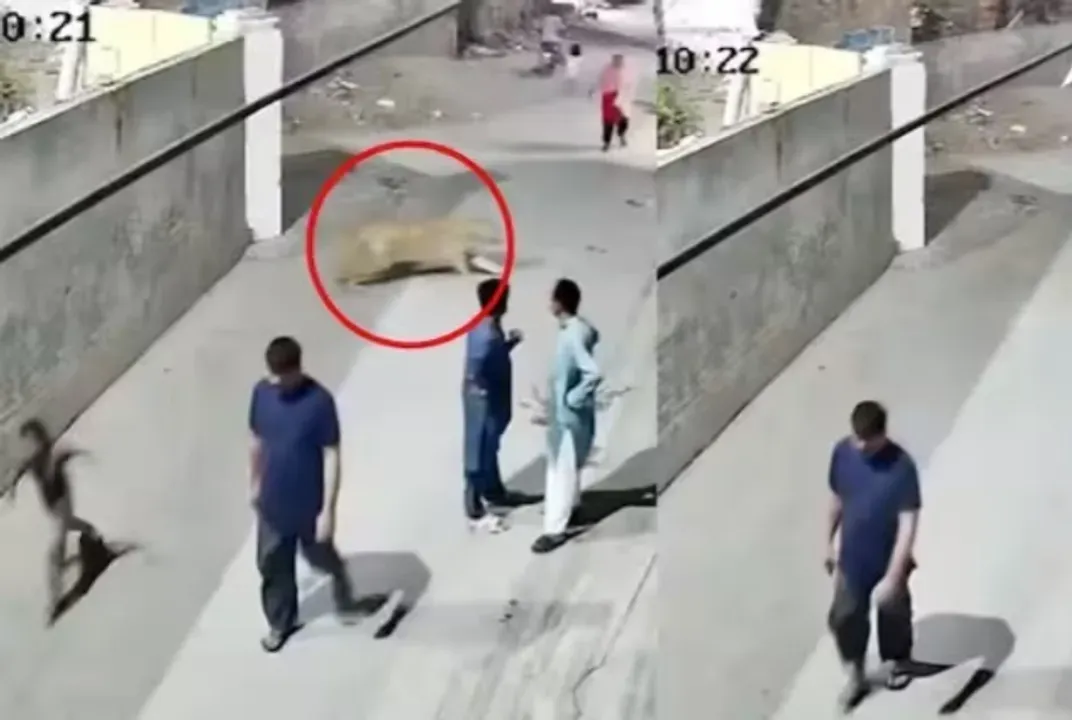 5fad2698 1fd4 4ba0 b82f b30cc812