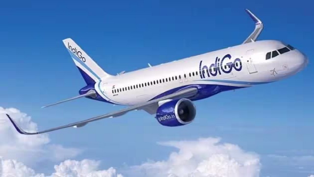 Indigo