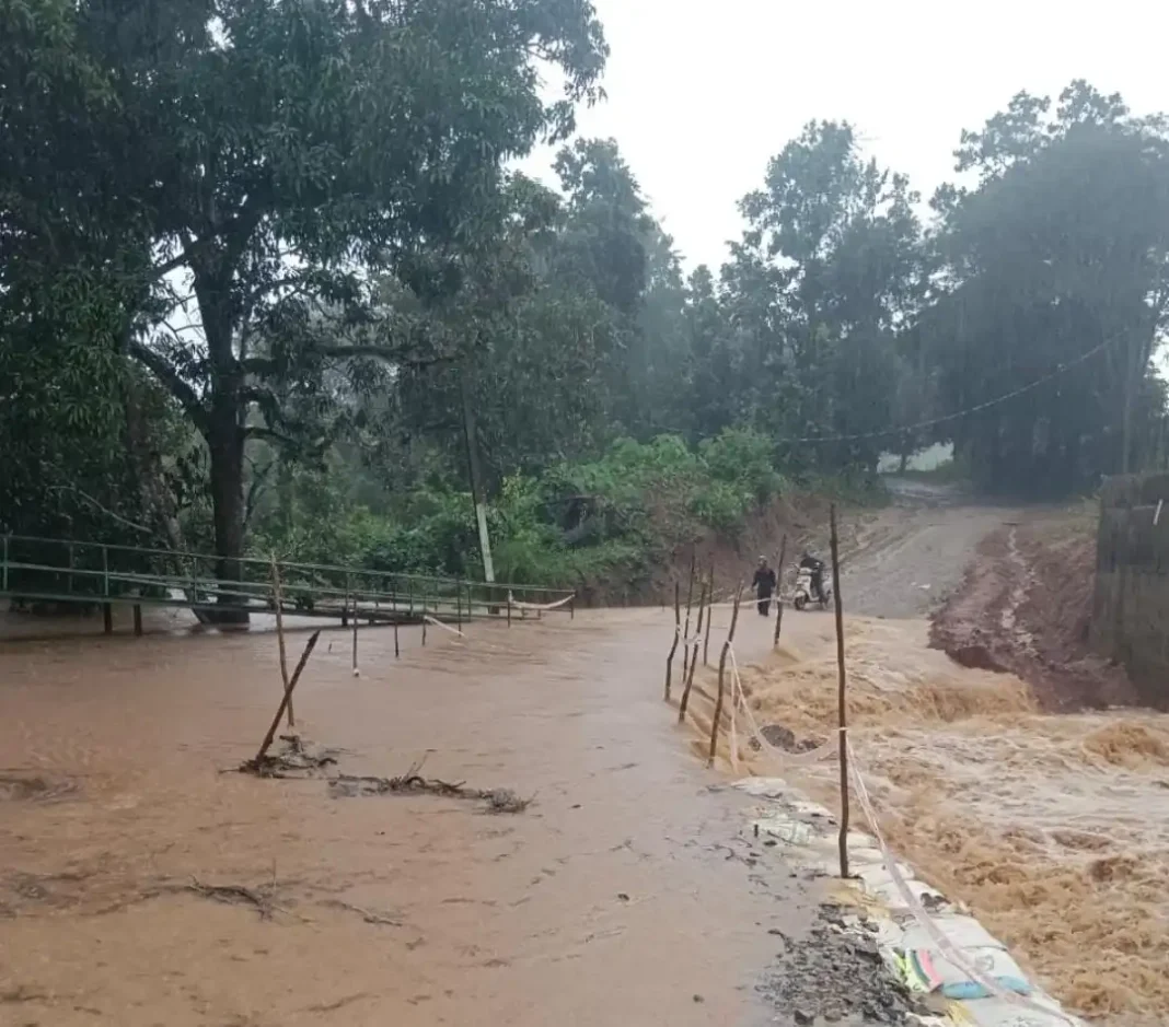 8th news and photo 2 1068x939