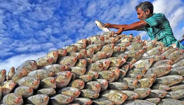 Screenshot 2025 09 09 114504 750x430