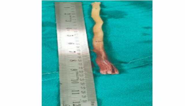 Screenshot 2025 09 10 161311