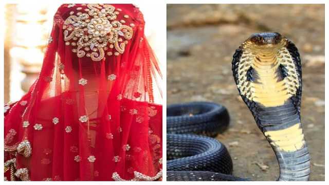 Bride snake