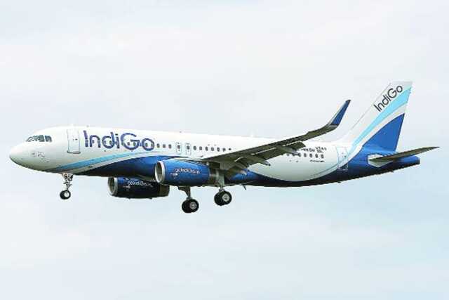 Indigo