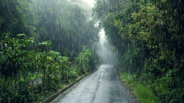 Rainy season 1748849555787 1748849556052 1536x864