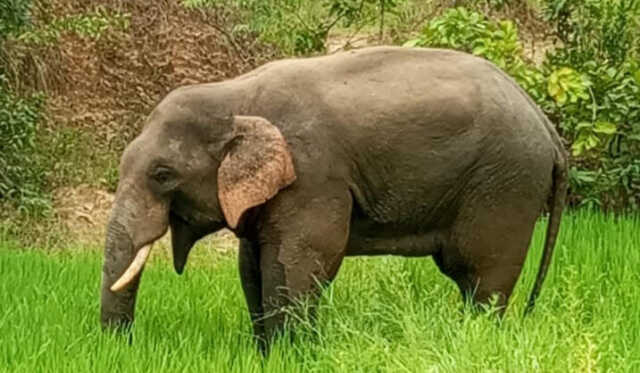 Unnamed 3 e1758449723476