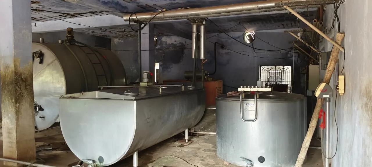 Milk 2025 11 15 08 34 19