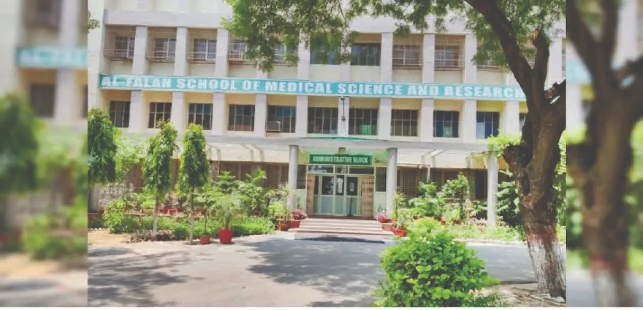 Untitled 2 2025 11 14 05 44 21