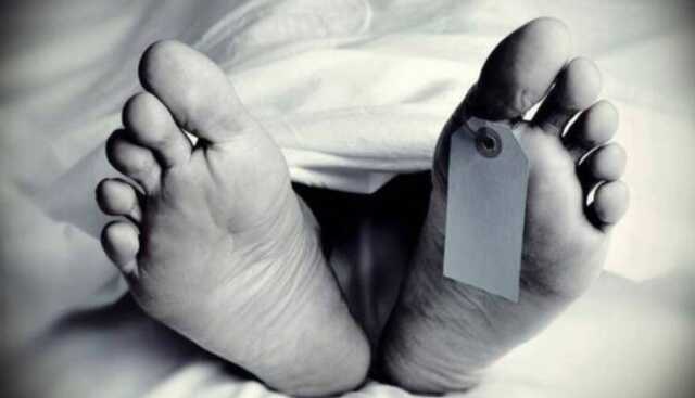 Screenshot 2025 11 13 201634