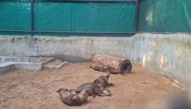 Image 2025 12 05t151933.086