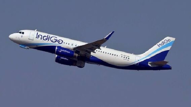Indigo flight