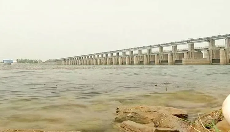 Mahanadi tribunal