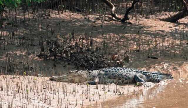 Screenshot 2026 01 19 231213