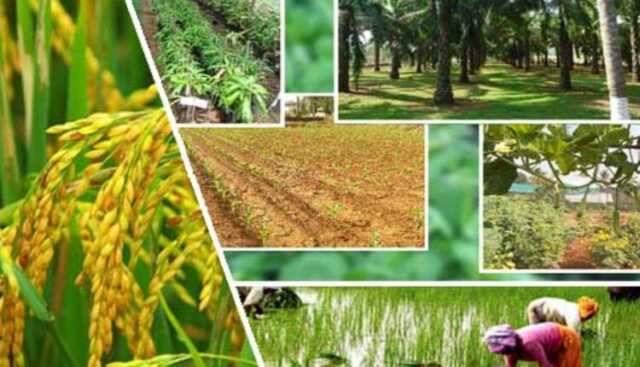 Screenshot 2026 02 09 104317 750x430