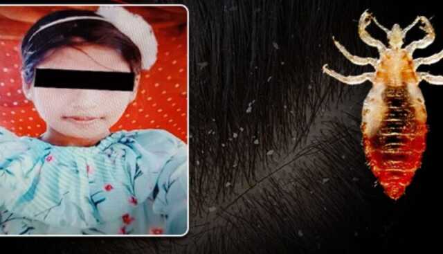 Screenshot 2026 02 09 143742 750x430