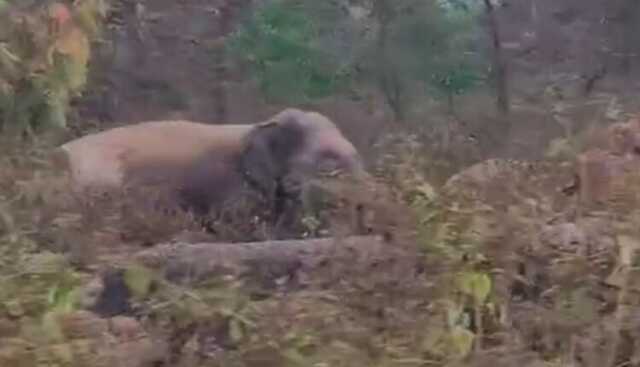 Screenshot 2026 02 24 154415