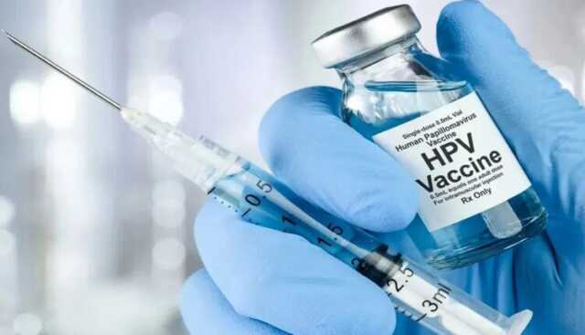 Screenshot 2026 02 25 093859 750x430 1