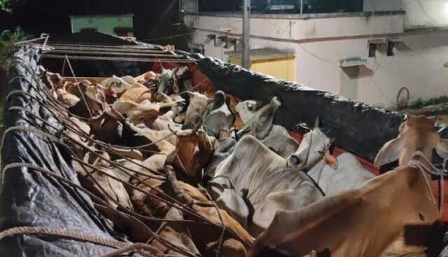 Screenshot 2026 03 23 150452