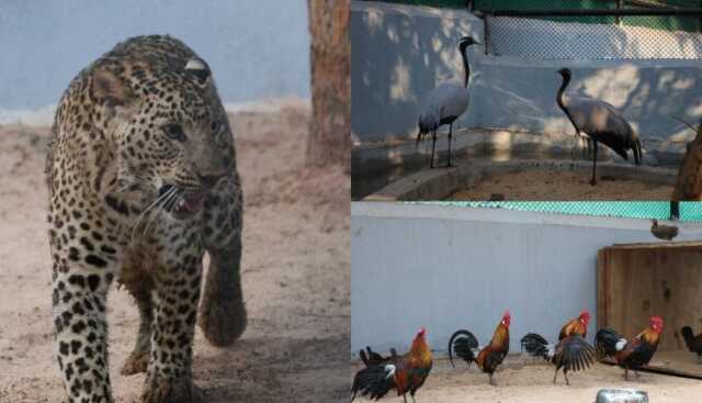 Image 2026 03 30t142204.509