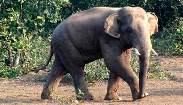 Screenshot 2026 04 23 040013