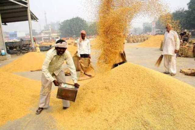 Kharif peddy sale