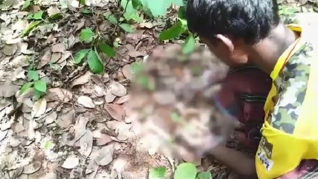 Mayurabhanjvcc