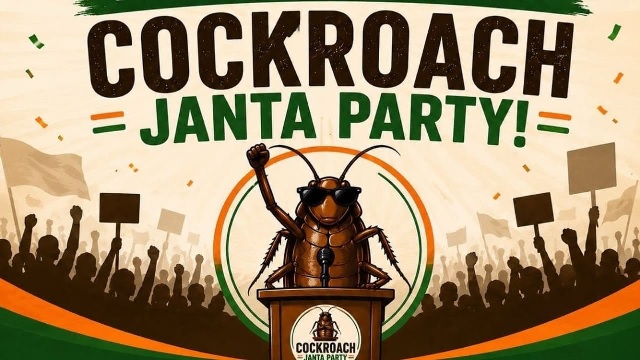 Cockroach party