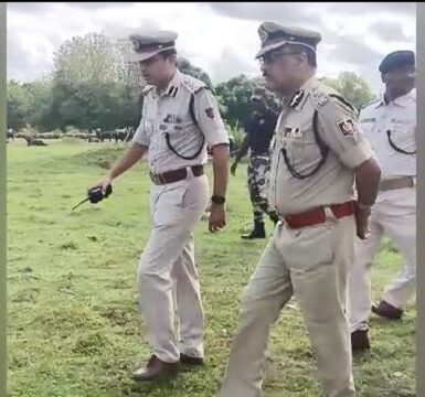 Dgp