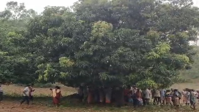 Kalabaisakhi
