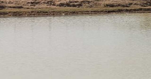 Pond 2