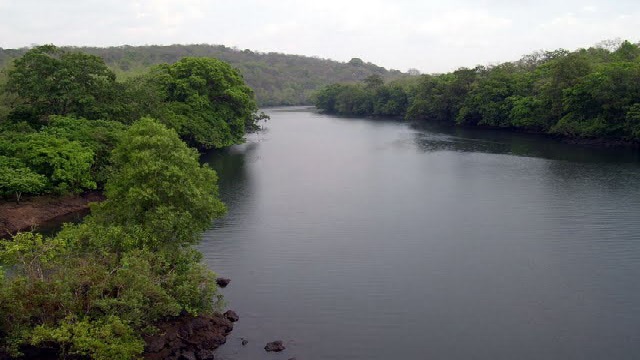 Tatee river