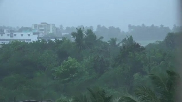 Weather