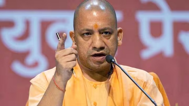 Yogi 1