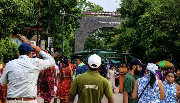 Nandankanan Zoo On Bhubaneswar Outskirts Sees Record Raja Turnout To Remain Open Today 1194x675 1 750x430