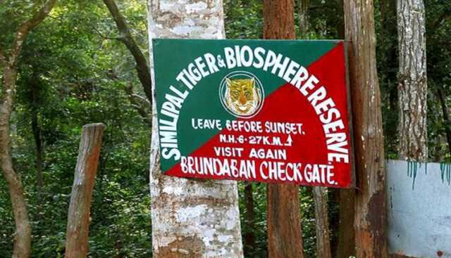 SIMILIPAL FOREST 750x430