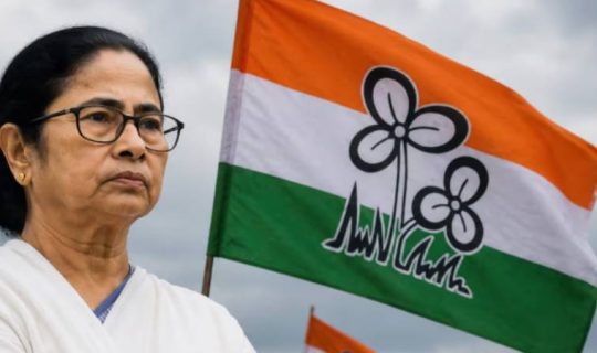 TMC mamata 540x320
