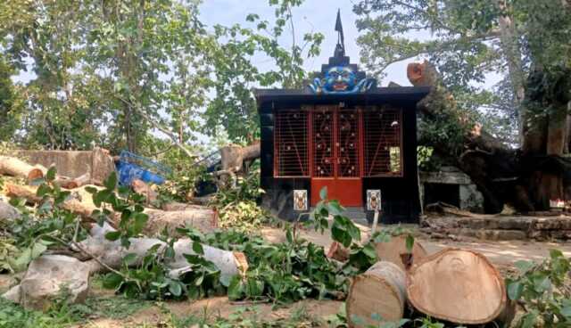 Tree branch broken in storm Kandarpur Athagad 1068x614